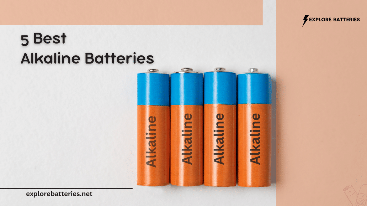 Alkaline Batteries